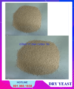MEN TIÊU HÓA - DRY YEAST